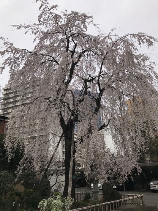 f0234023_09011386.jpg
