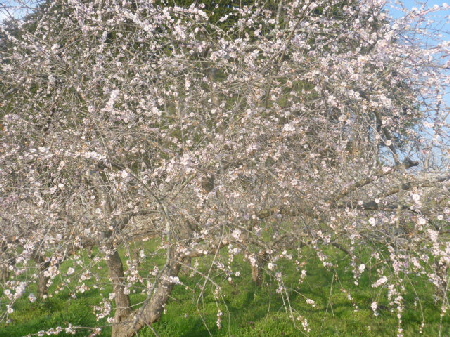 b0246036_1620337.jpg