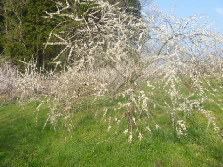 b0246036_16225710.jpg