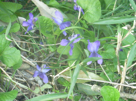 b0246036_16254324.jpg