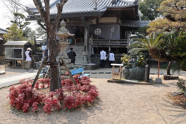a0242438_20434041.jpg