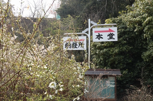 a0242438_20434211.jpg