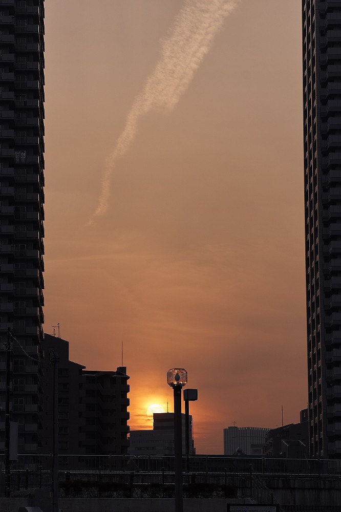 d0349141_01411273.jpg