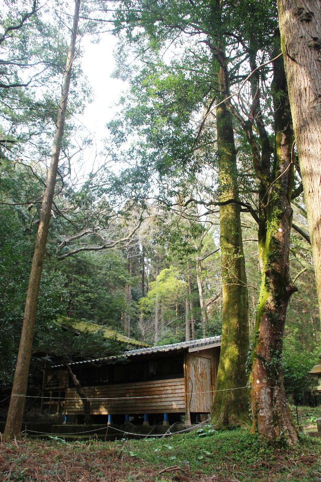 c0011649_1212177.jpg
