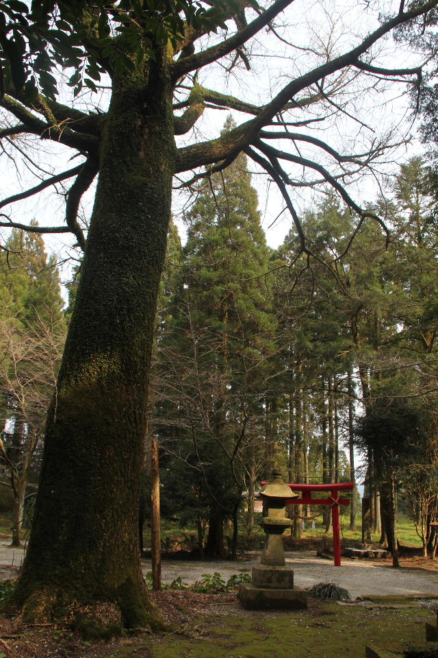 c0011649_1213204.jpg