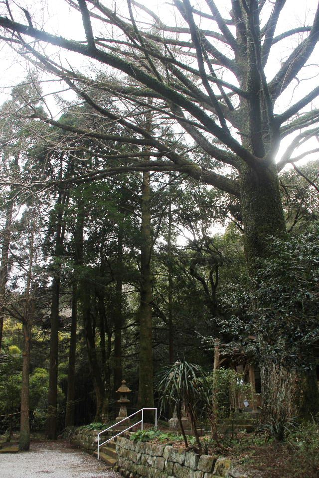 c0011649_129497.jpg