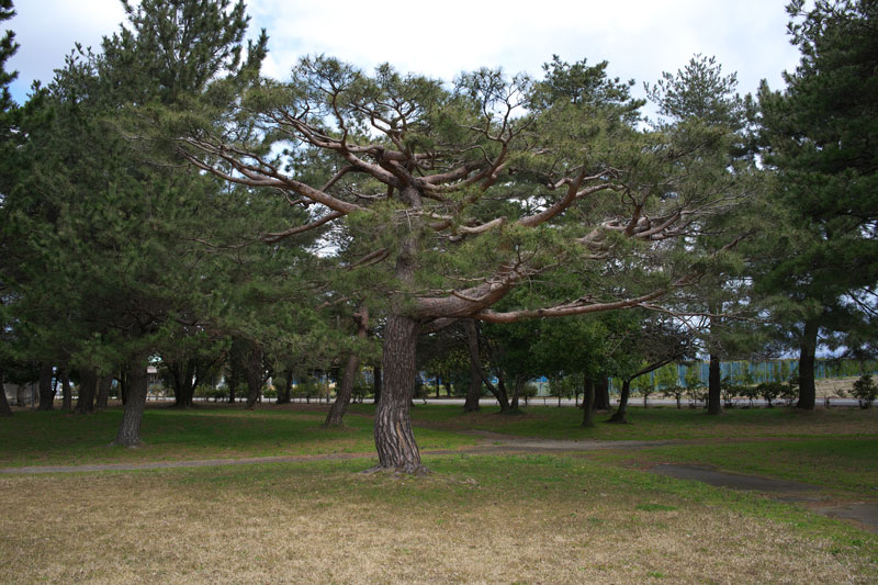 d0342652_1326312.jpg