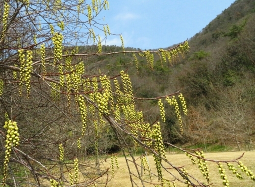 a0018655_15023643.jpg