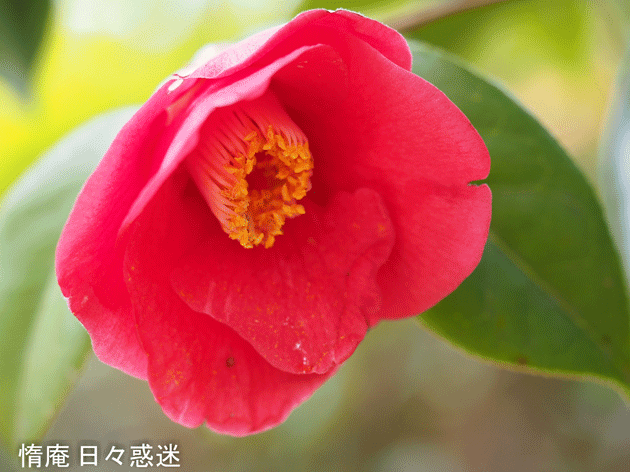 e0346064_04591581.gif