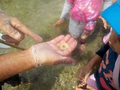 f0338188_16382742.jpg