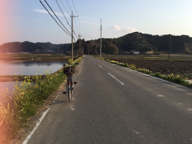 c0064389_13135334.jpg