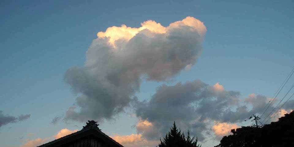 c0170789_13051086.jpg