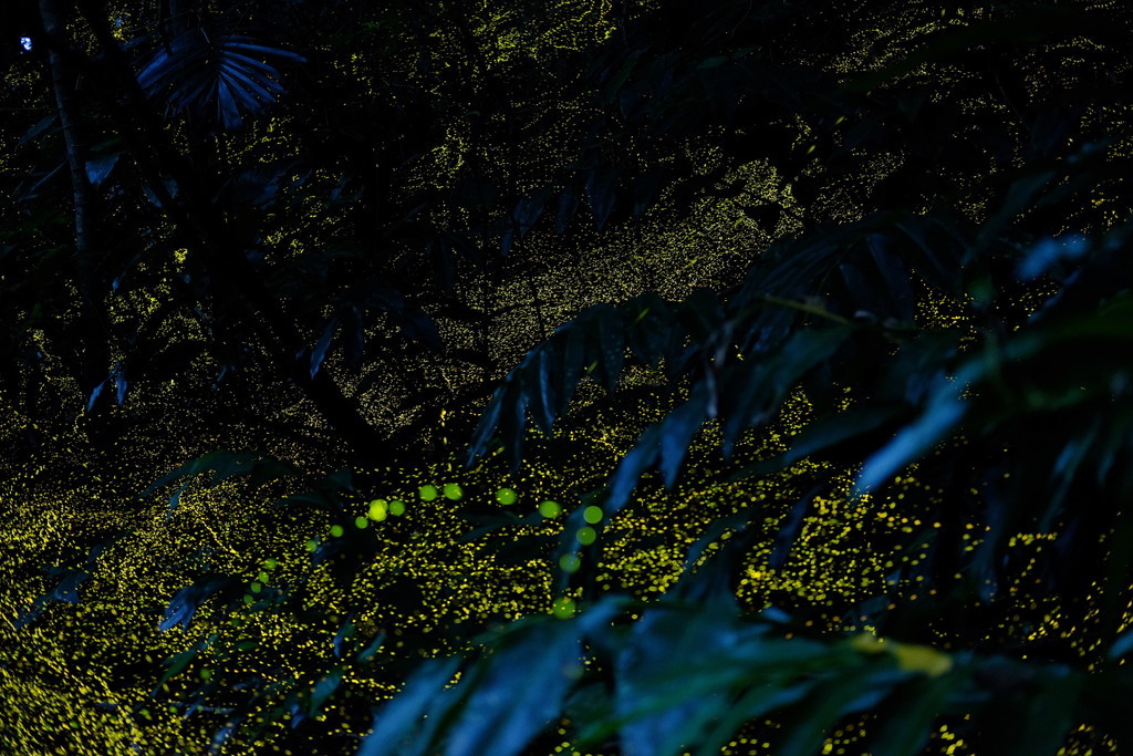 d0286391_02430246.jpg