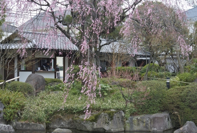 a0223597_15251716.jpg