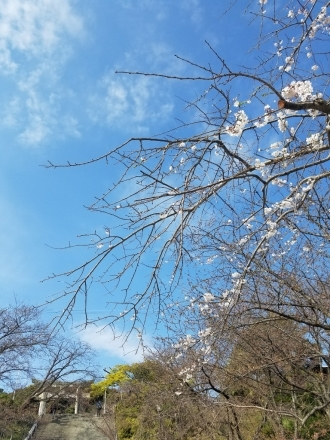 c0137300_22030673.jpg