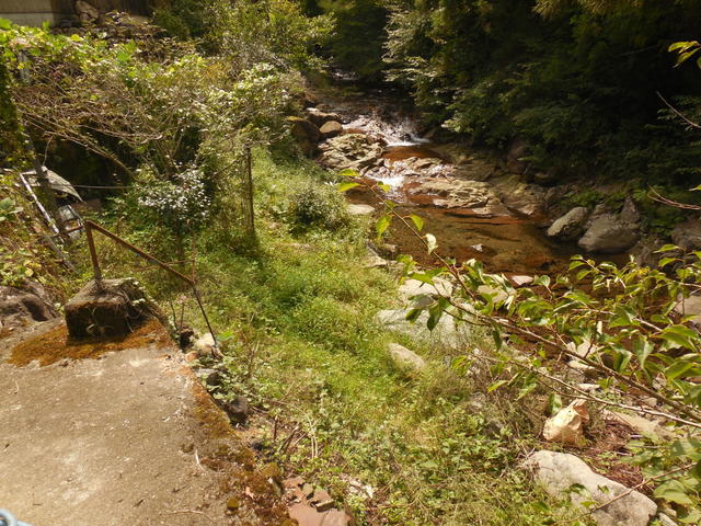 d0240201_16293022.jpg