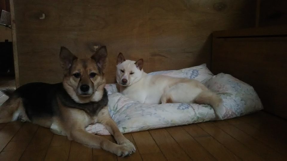 f0242002_22591003.jpg