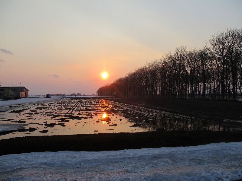 f0202703_747541.jpg
