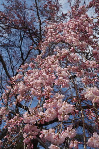 b0069604_18505825.jpg