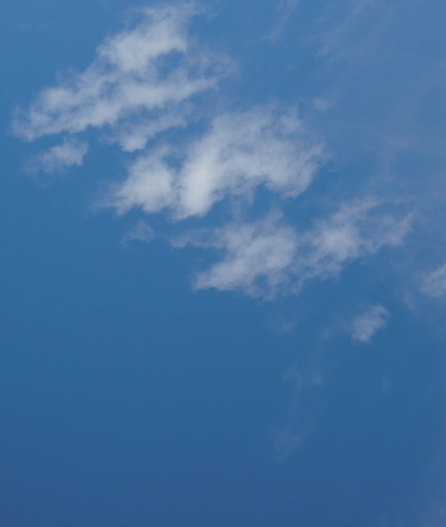 d0067910_917291.gif