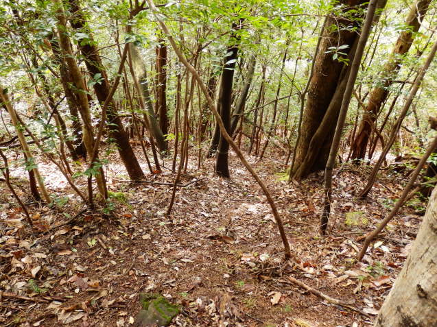 f0219710_20085166.jpg