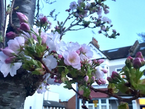 f0012916_17320551.jpeg