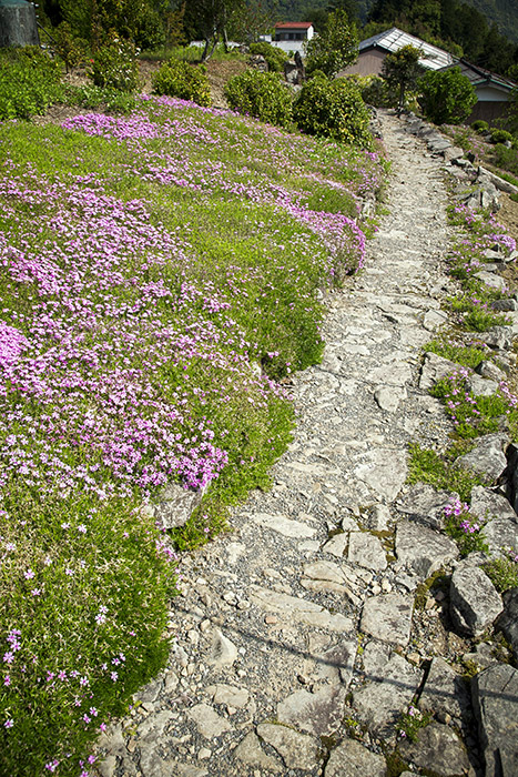 d0147530_8114077.jpg