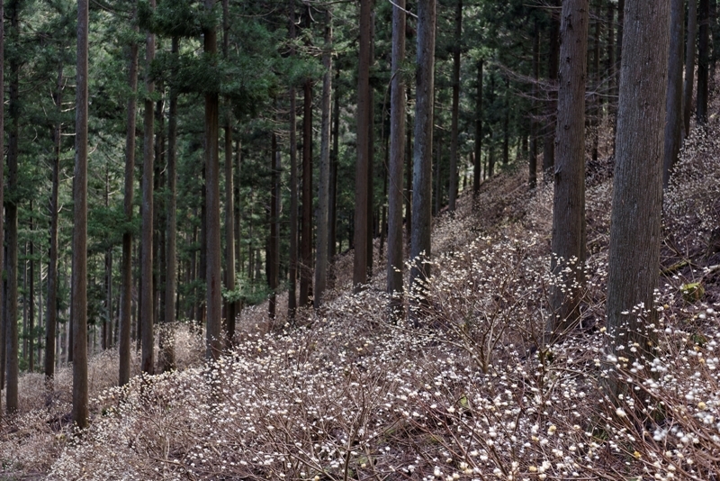 f0274536_22435683.jpg