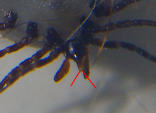 b0060239_22320990.jpg