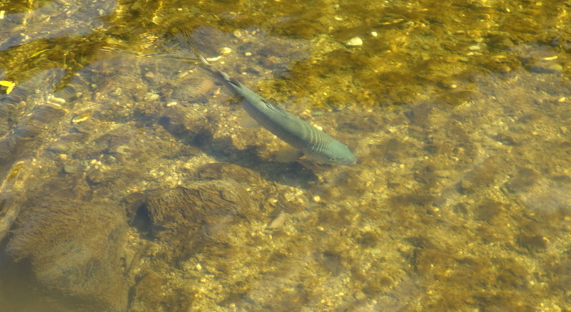 e0202845_16244586.jpg