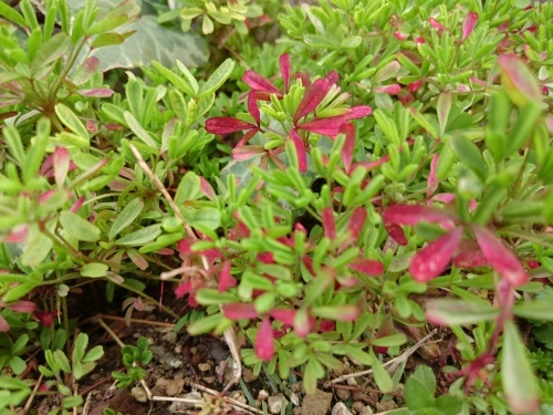 f0326946_09070165.jpg