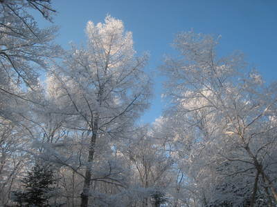 b0126549_9384448.jpg