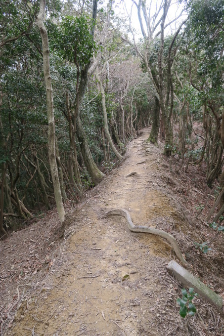 e0348754_09475443.jpg