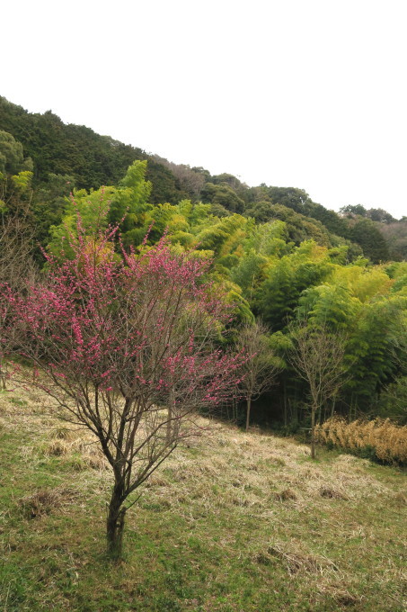 e0348754_10515980.jpg