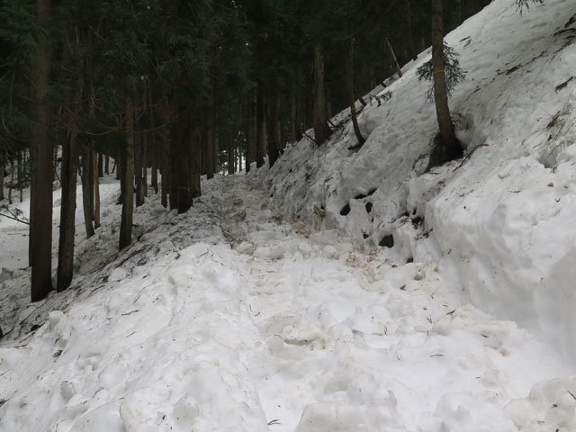 c0116856_20132839.jpg