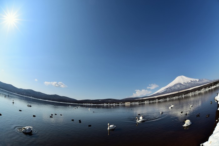a0307264_12245226.jpg