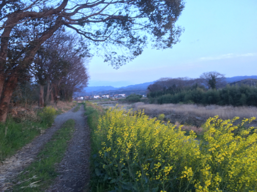 e0136066_20120852.jpg