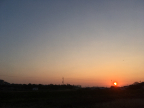 e0136066_20120956.jpg