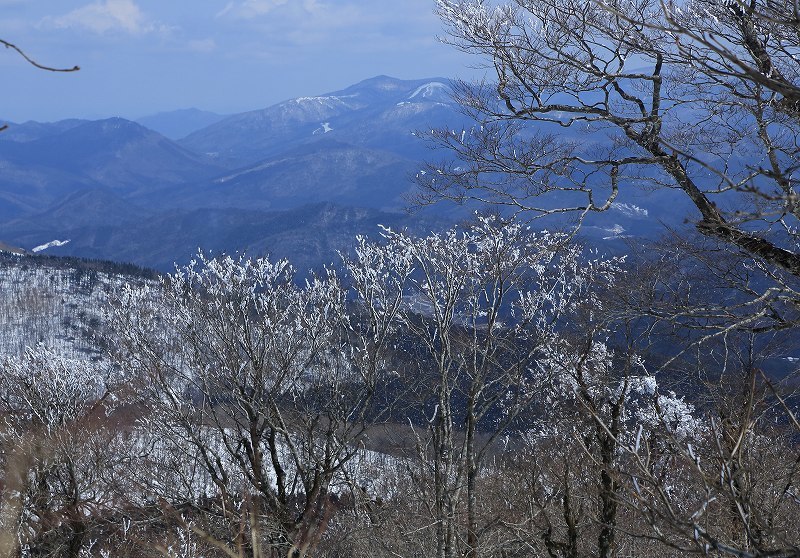 e0091879_23152640.jpg
