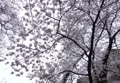 a0198883_22335053.jpg