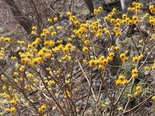 b0039898_22315546.jpg