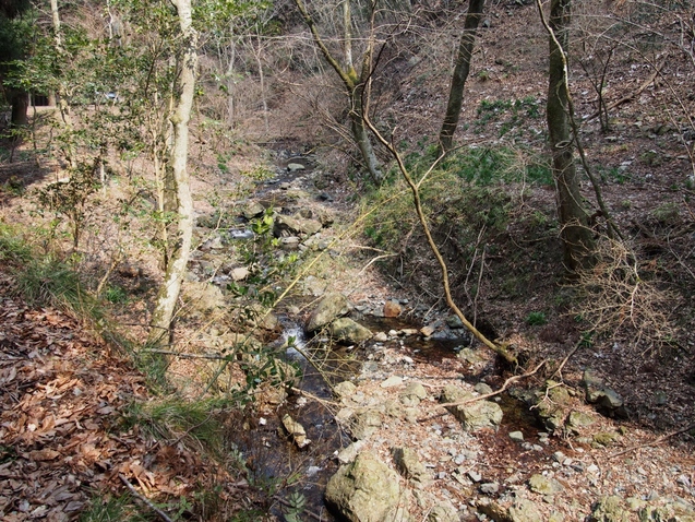 b0039898_22322178.jpg