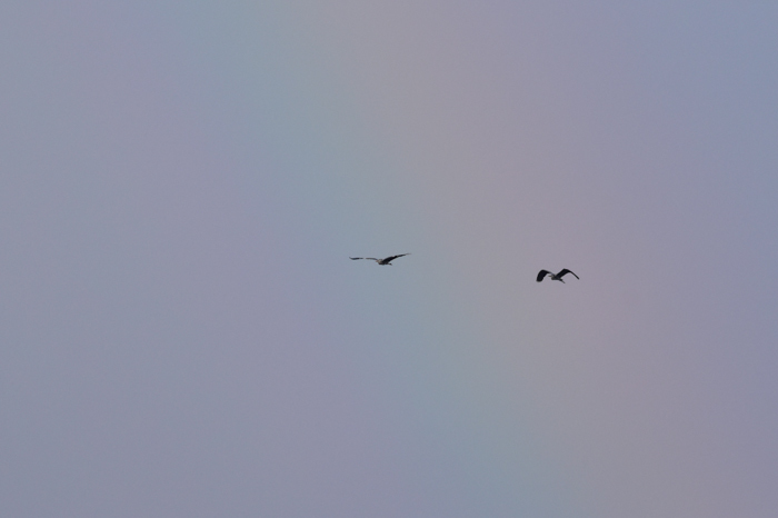 c0049299_23115804.jpg