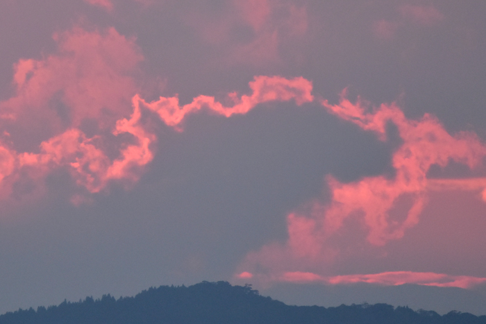 c0049299_23171149.jpg