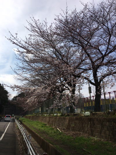 b0160300_235343.jpg