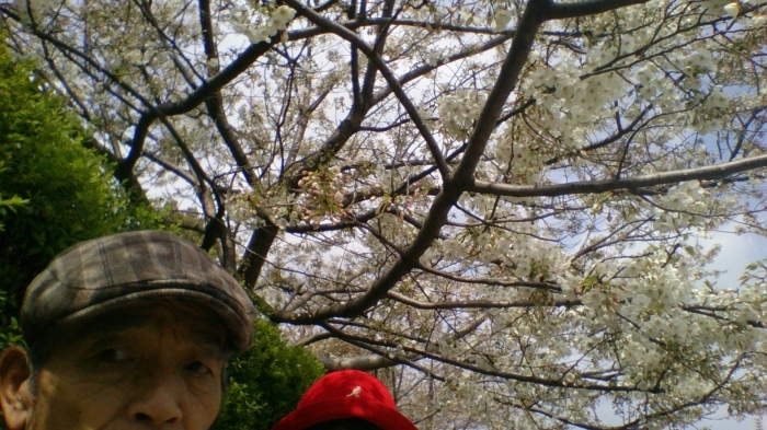 f0225800_17555992.jpg
