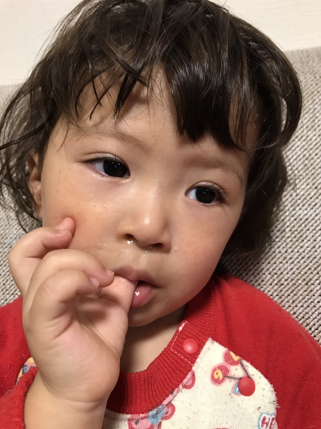 b0127002_20173644.jpg