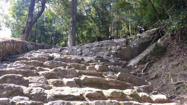 c0266004_17371059.jpg