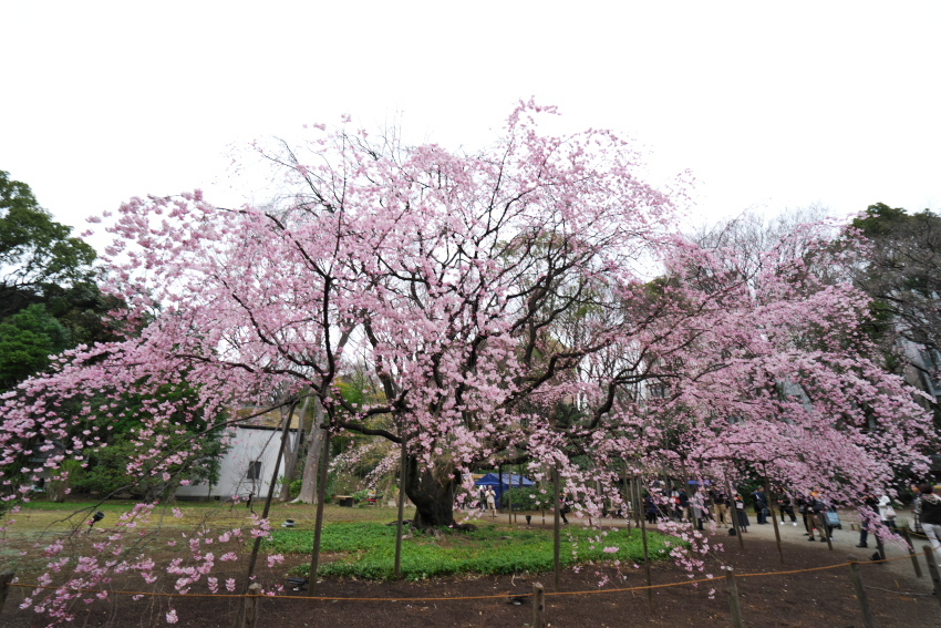 a0263109_14514009.jpg