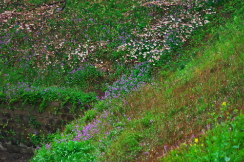 a0263109_22470173.jpg